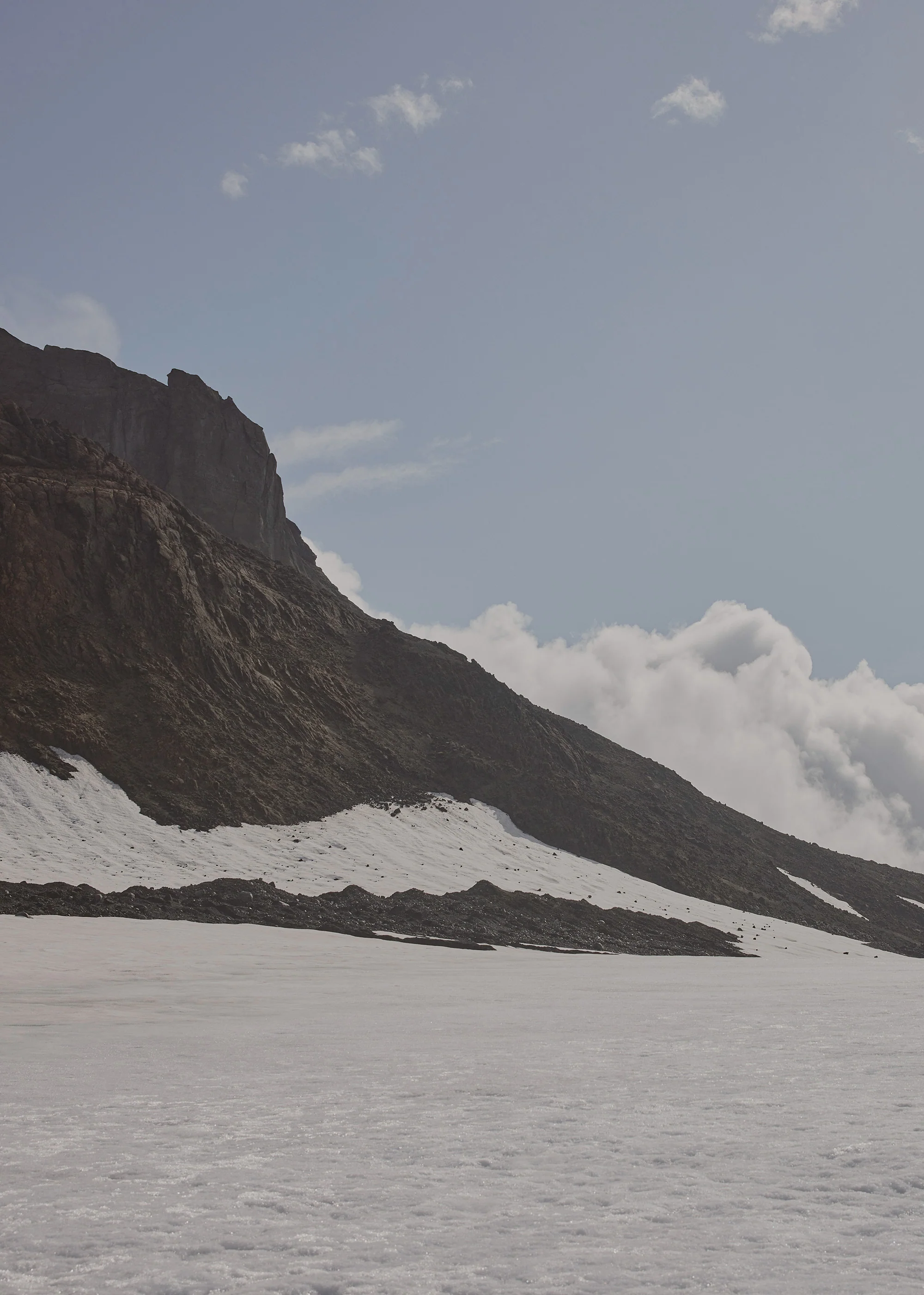 Numéro Un Nano - Textured Tan - Image 4